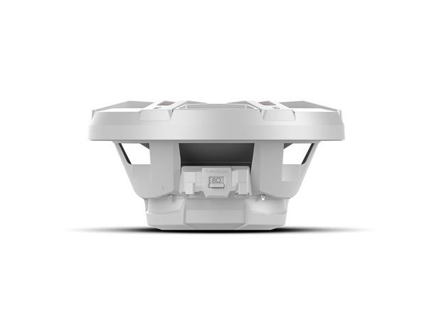 Rockford Fosgate M1D210 subwoofer Marine, 10", 300W RMS, 2x2 Ohm, LED 