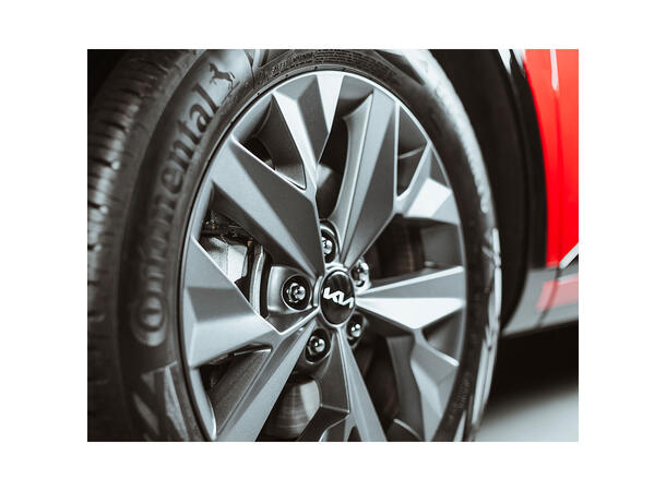 Autoglym Advanced All Wheel Cleaner Advanced All Wheel Cleaner, 2,5L 