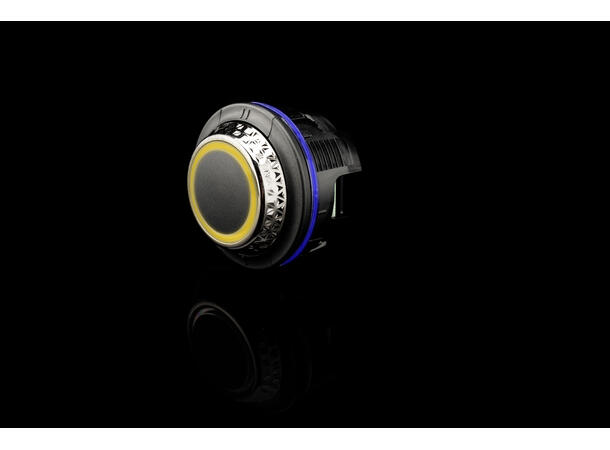 GLADIATOR fjernkontroll For Mosconi DSP 