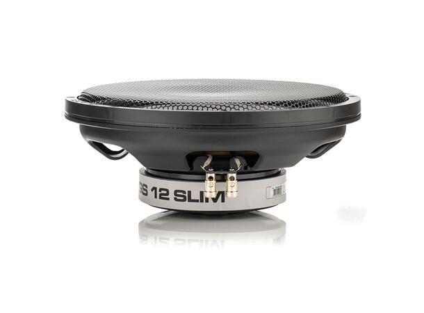 Gladen GS12-SLIM 12" Subwoofer Slim 12", 500W RMS, 2x2 Ohm 