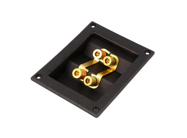 ACV Høyttalerterminal - dobbel Dobbel firkantet 